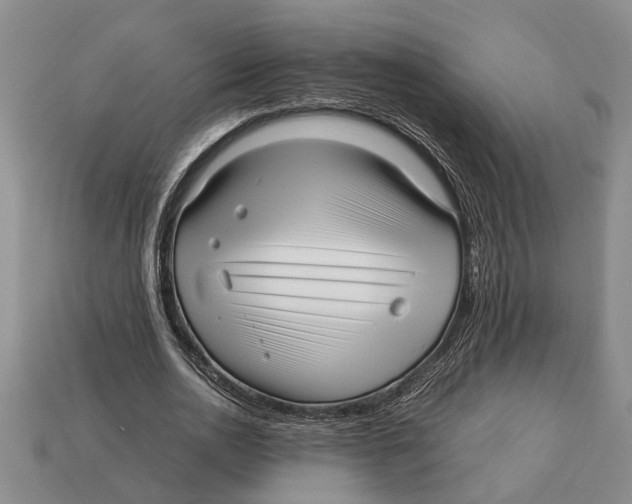 X0000113010726200909241351
