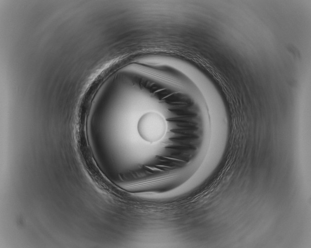 X0000113010728200909241351