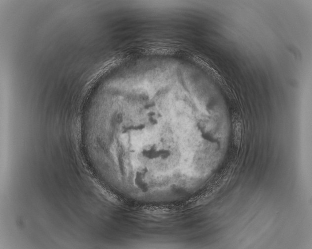 X0000113010729200909241351