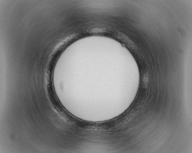 X0000113010732200909241351