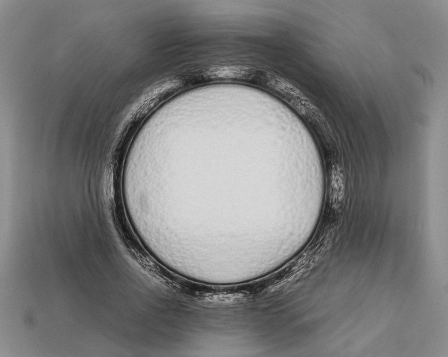 X0000113010734200909241351
