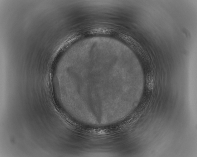 X0000113010735200909241351