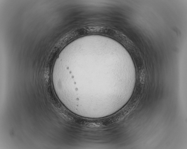 X0000113010737200909241351