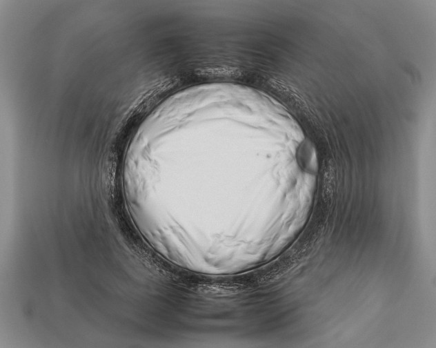 X0000113010739200909241351