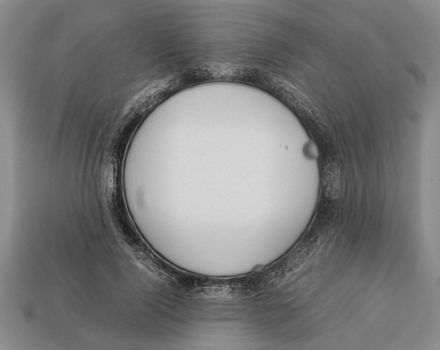 X0000113010740200909241351