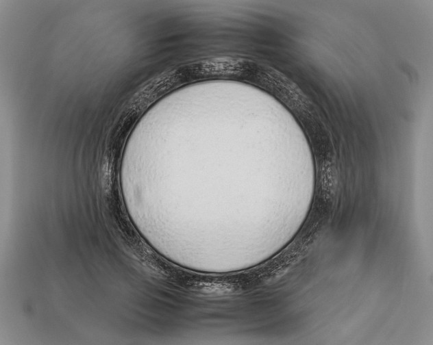 X0000113010741200909241351