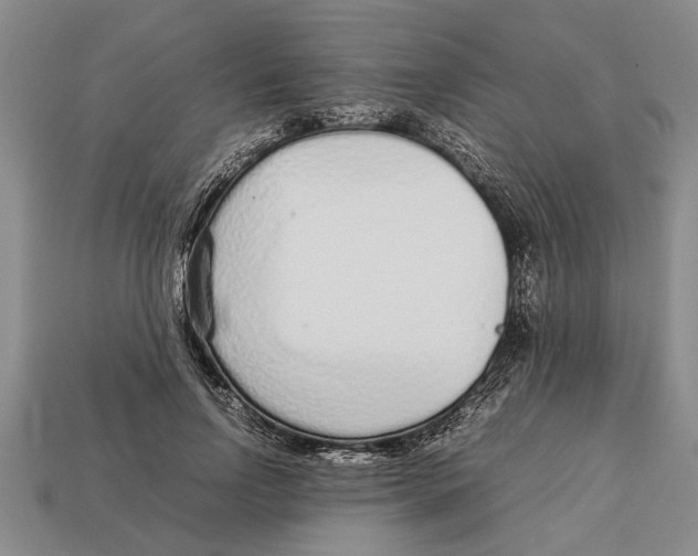 X0000113010742200909241351