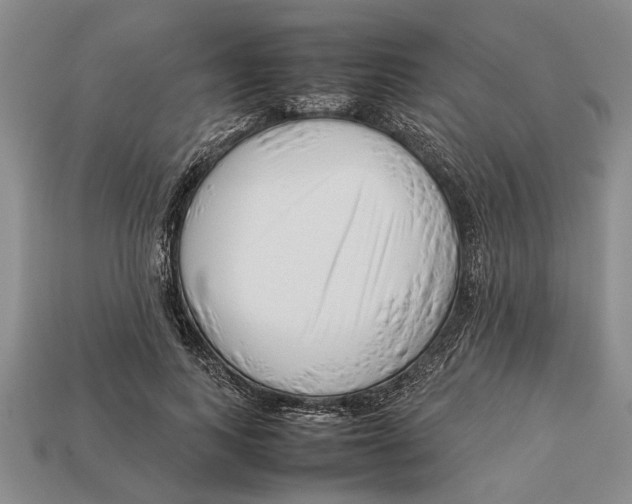 X0000113010743200909241351