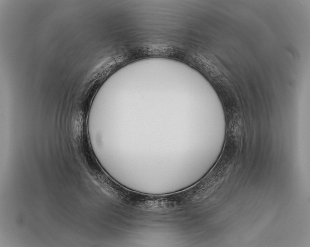 X0000113010744200909241351