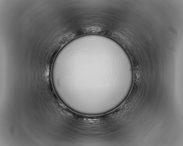 X0000113010745200909241351