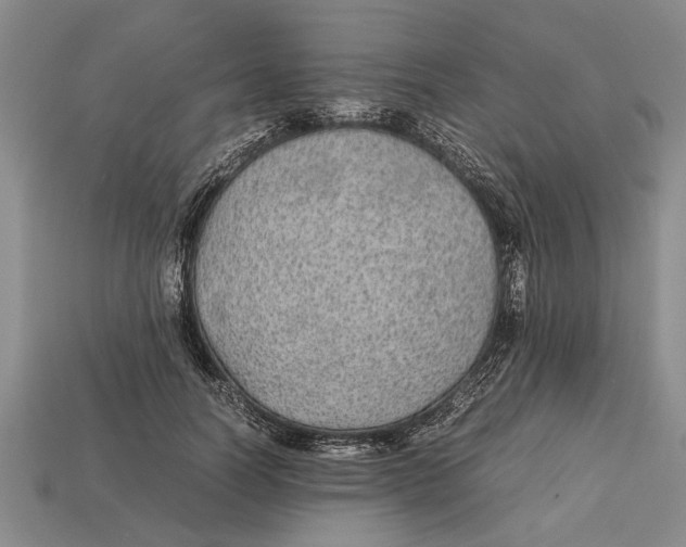 X0000113010746200909241351