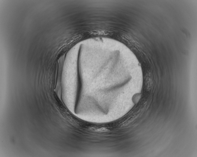 X0000113010747200909241351
