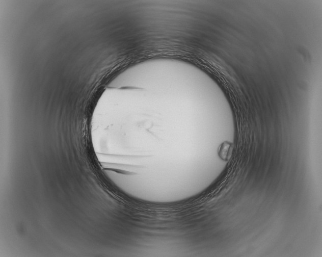 X0000113010748200909241351