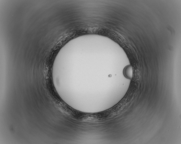 X0000113010750200909241351