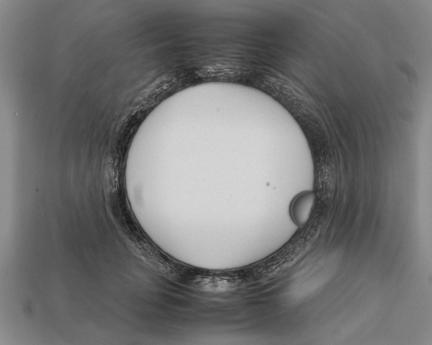 X0000113010751200909241351