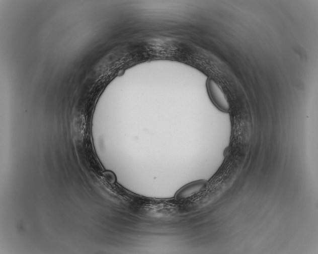 X0000113010752200909241351