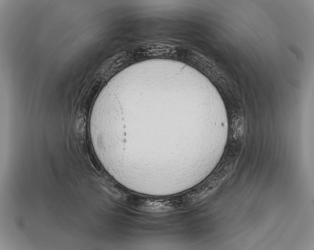 X0000113010753200909241351