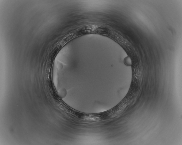 X0000113010754200909241351
