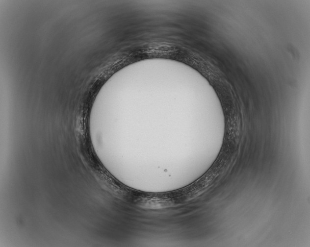 X0000113010755200909241351
