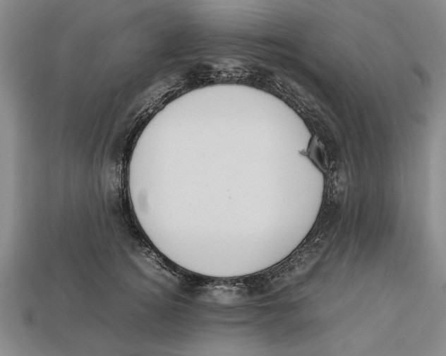 X0000113010756200909241351