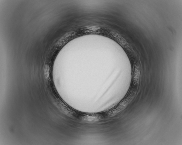 X0000113010758200909241351