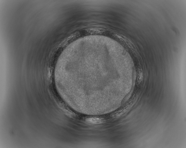 X0000113010759200909241351