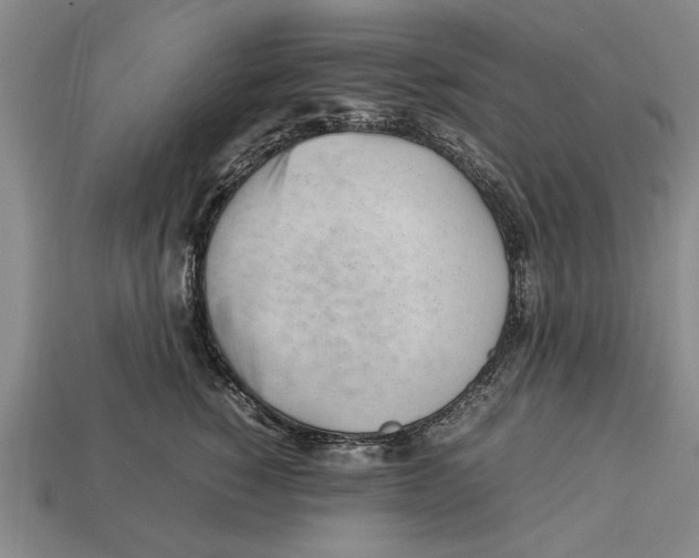 X0000113010760200909241352