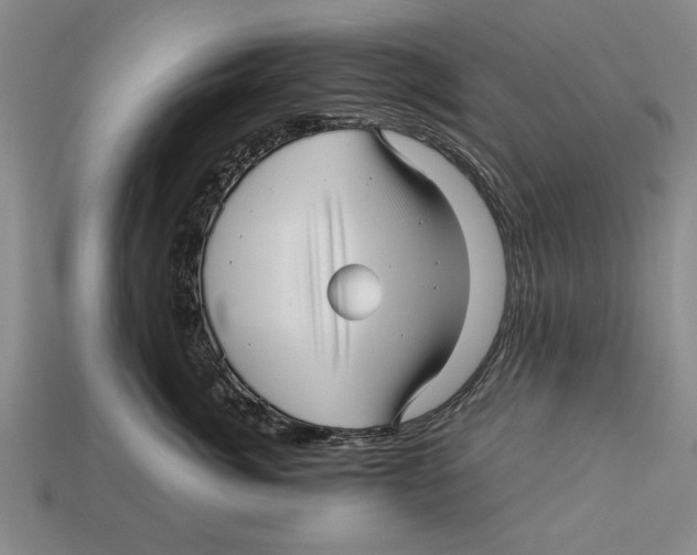 X0000113010764200909241352