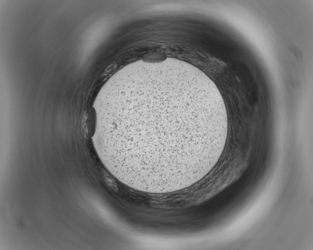 X0000113010766200909241352