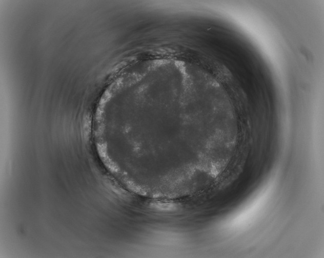 X0000113010767200909241352