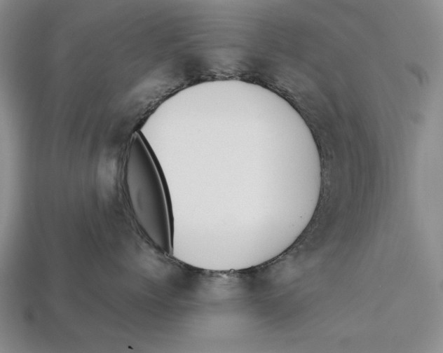 X0000113010768200909241352