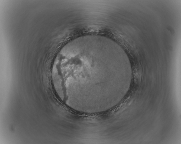 X0000113010769200909241351