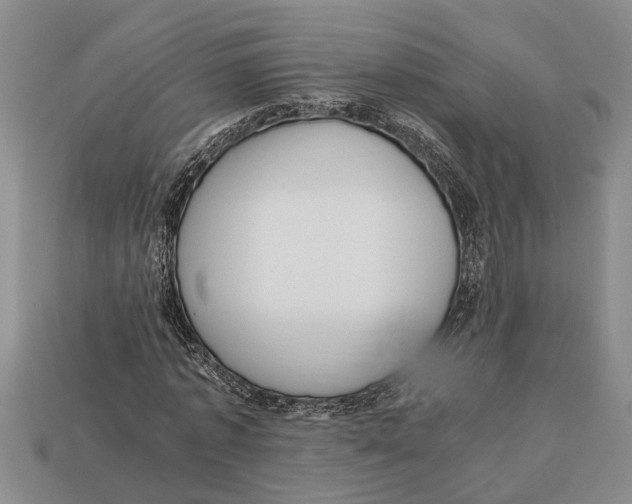 X0000113010773200909241351