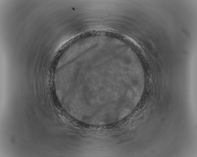 X0000113010775200909241351