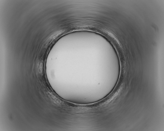 X0000113010777200909241351