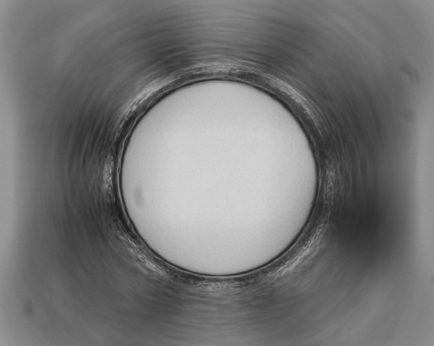 X0000113010778200909241351