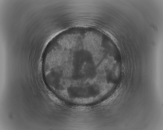 X0000113010779200909241351