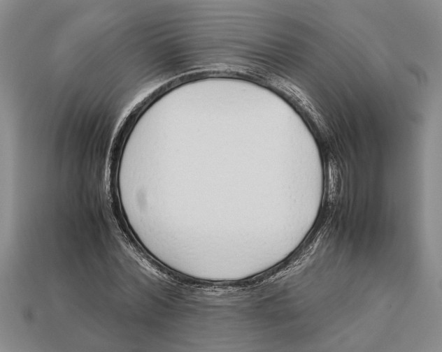 X0000113010780200909241351