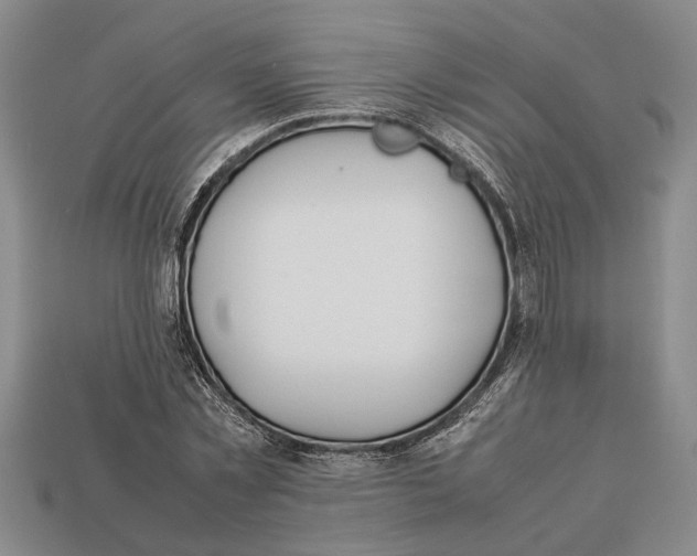 X0000113010781200909241351