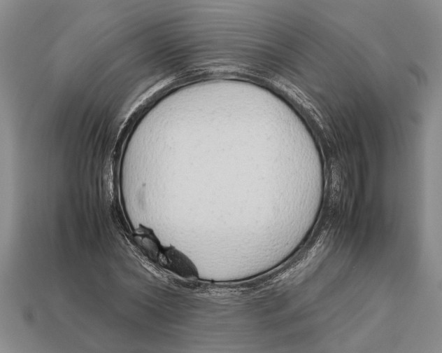 X0000113010782200909241351