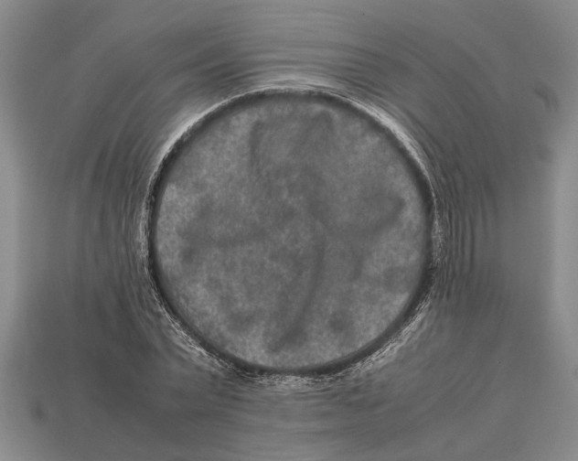 X0000113010783200909241351