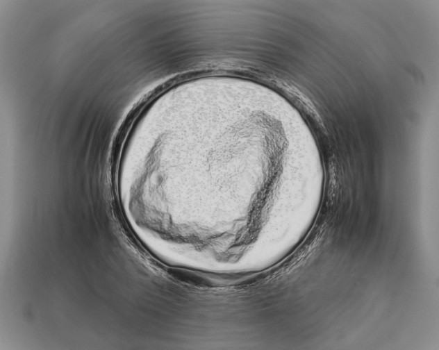X0000113010784200909241351