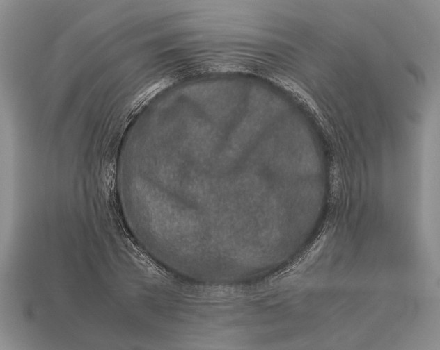 X0000113010785200909241351