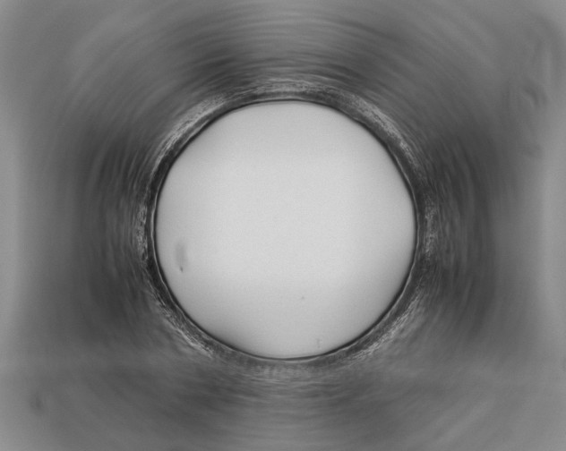 X0000113010786200909241351
