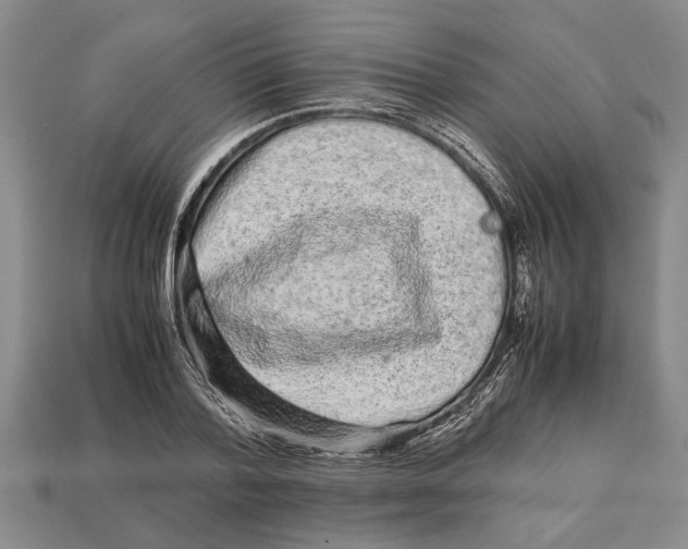 X0000113010788200909241351