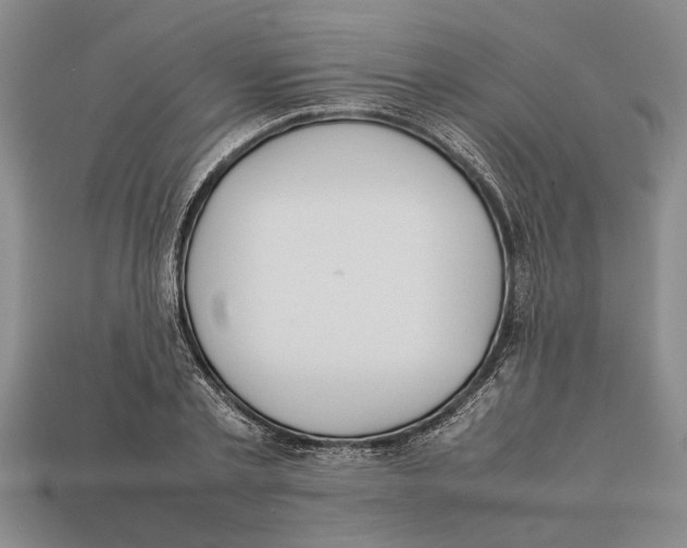 X0000113010789200909241351