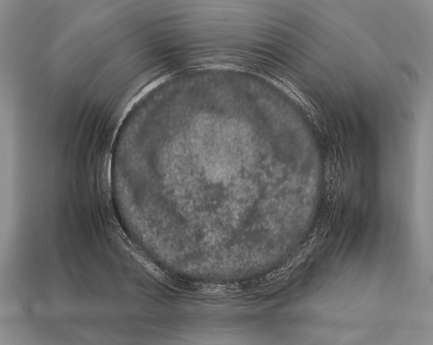 X0000113010790200909241351
