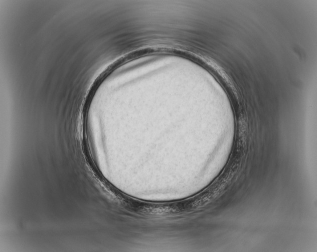 X0000113010791200909241351