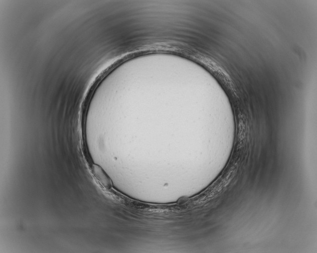 X0000113010792200909241351