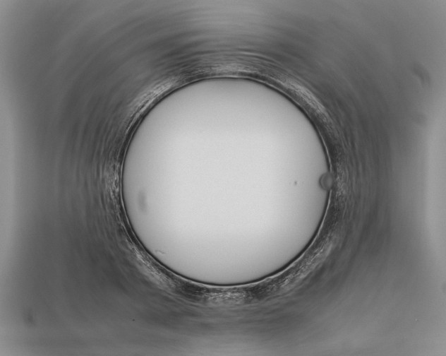 X0000113010793200909241351